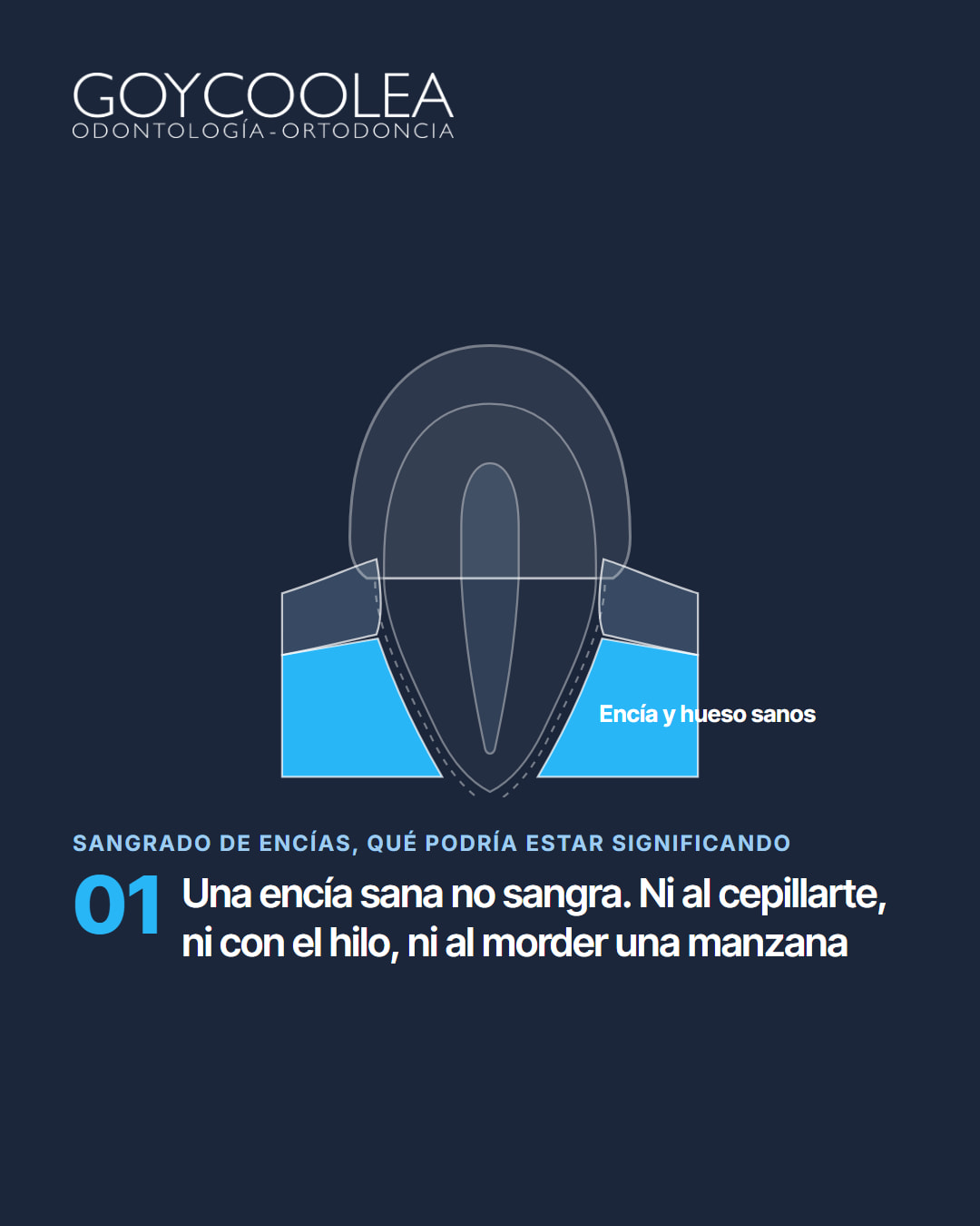 Carrusel educativo sobre las causas del sangrado de encías