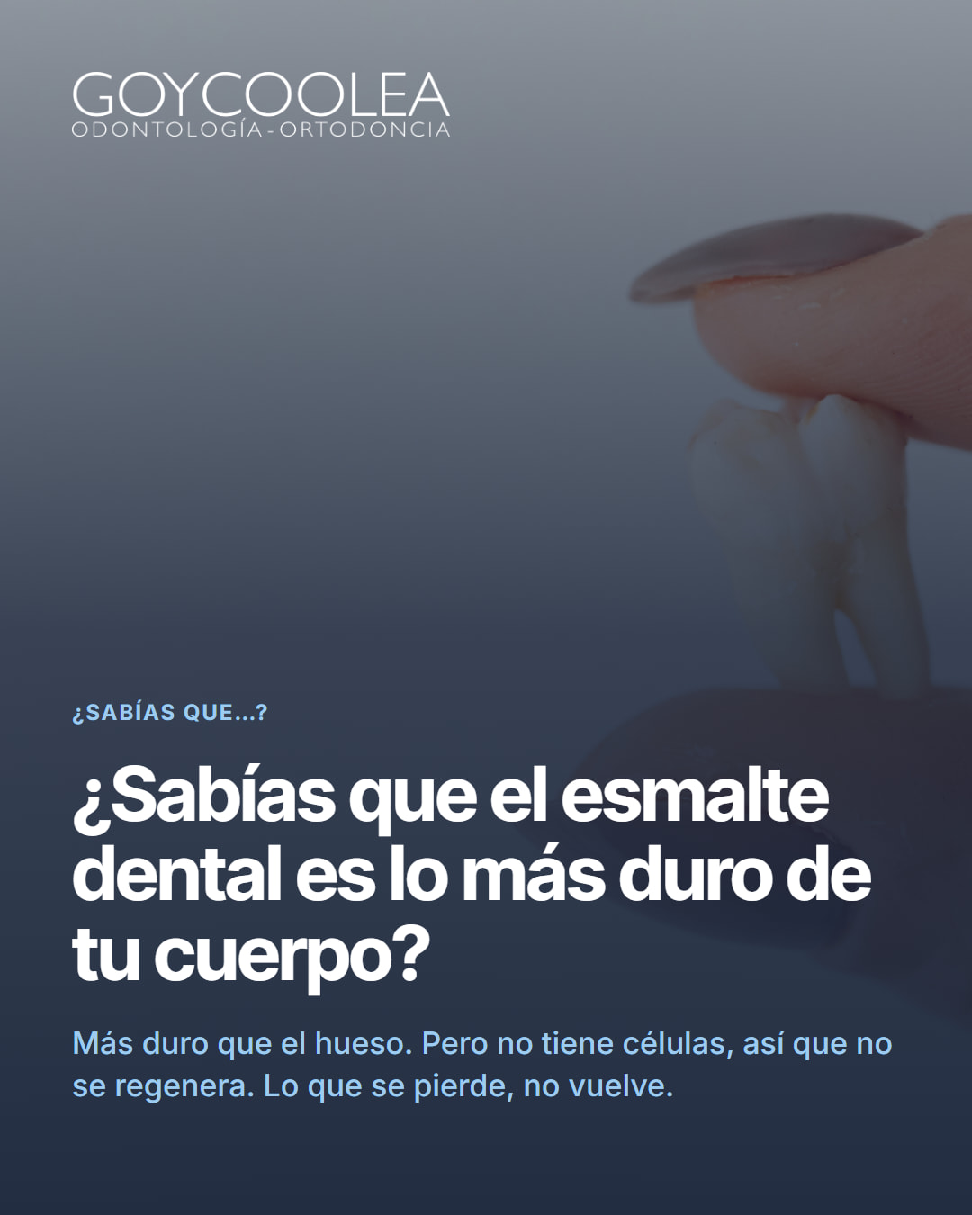 Dato curioso sobre la dureza del esmalte dental con primer plano de dientes
